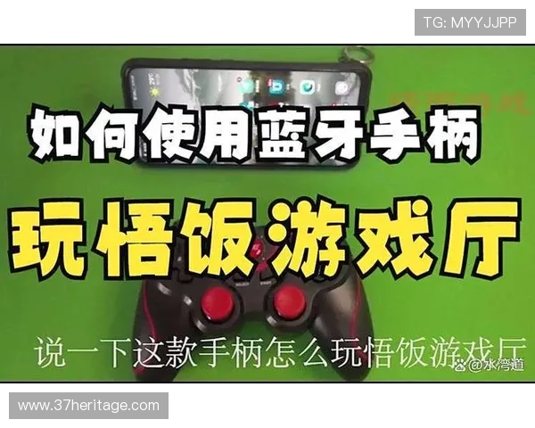 AG旗舰和国际厅：全面解析两大游戏厅的区别与优势，助你轻松选择最适合的游戏环境
