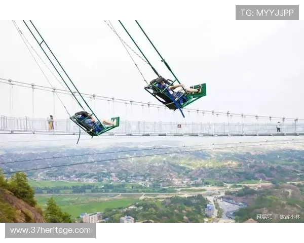 解析PA集团代理流程中的关键环节与挑战